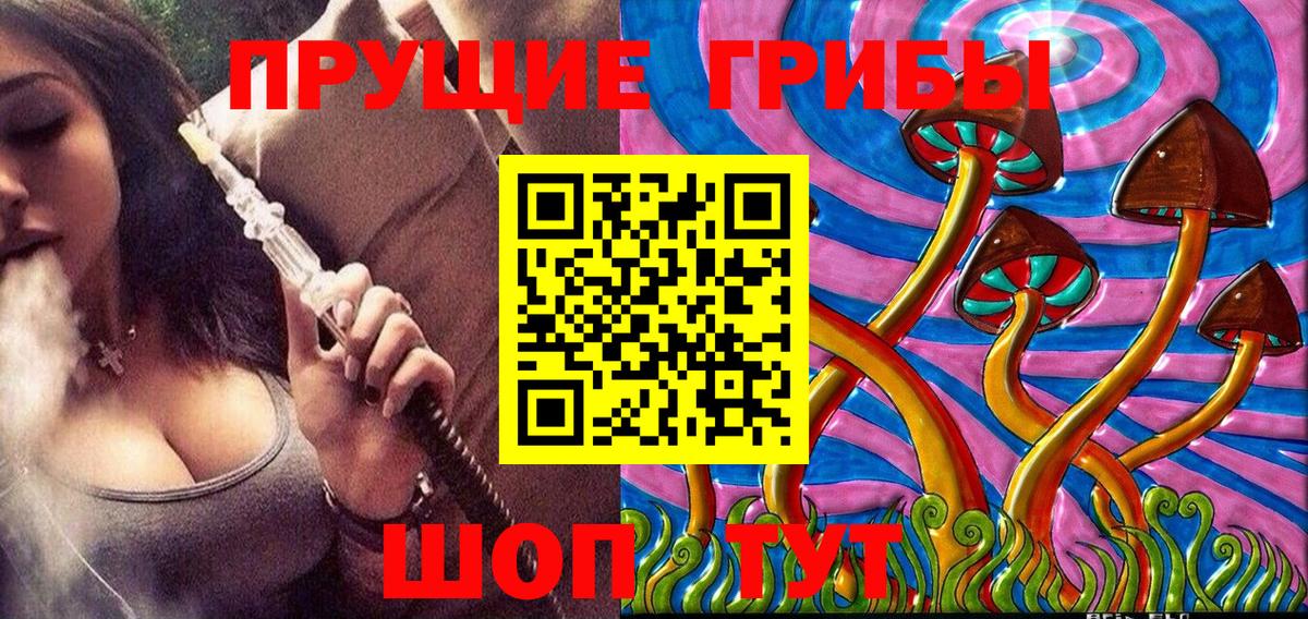 Галлюциногенные грибы Cubensis  Вход с VPN  Зима 